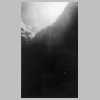 ASF-P-00248 NIBICON Dekkers Harwoods Fred.jpg